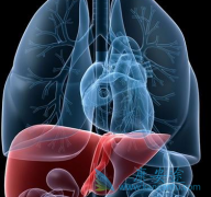 �Ҹδ���;������Щ����������ô�����Ⱦ�Ҹβ�����