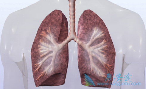 肺癌晚期;非小细胞肺癌 肺癌晚期;非小细胞肺癌