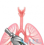 �ΰ�����һ����Ի��ã��ΰ��������Ʒ�ʽ��ʲô��