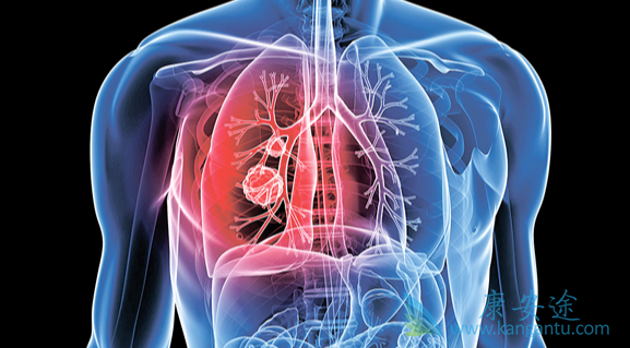 肺癌egfr靶点;肺癌的治疗 肺癌egfr靶点;肺癌的治疗