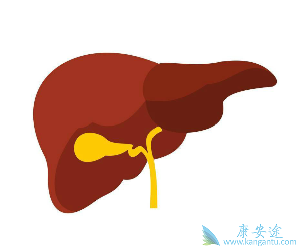 肝癌;肝癌药物 肝癌;肝癌药物