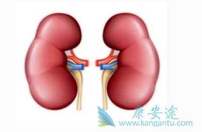 肾癌转移;肿瘤 肾癌转移;肿瘤