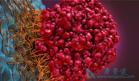 肿瘤的治疗 肿瘤的治疗