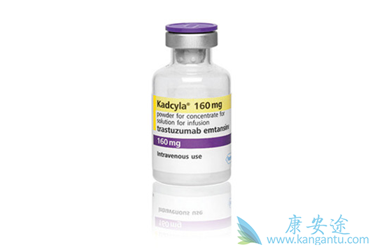 乳腺癌;曲妥珠单抗 乳腺癌;曲妥珠单抗