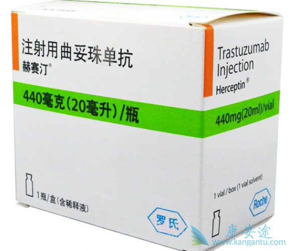 乳腺癌;曲妥珠单抗 乳腺癌;曲妥珠单抗