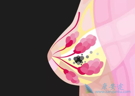 内分泌治疗 内分泌治疗