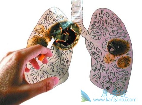 靶向治疗;非小细胞肺癌 靶向治疗;非小细胞肺癌