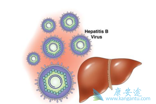 两对半对照表;乙肝病毒 两对半对照表;乙肝病毒