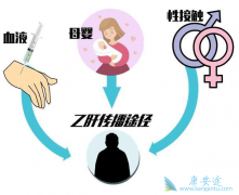 �����Ҹβ�������Ҫ�Ĵ�Ⱦ;����ĸӤ����