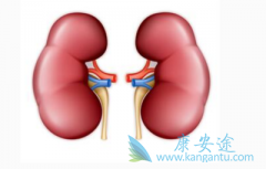 ����ת������Щ���֣�����ռ���������ı����Ƕ��٣�