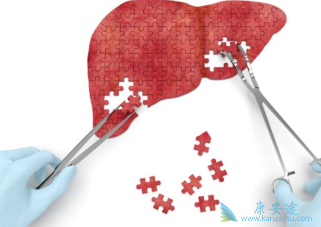 恩度说明书;肿瘤 恩度说明书;肿瘤