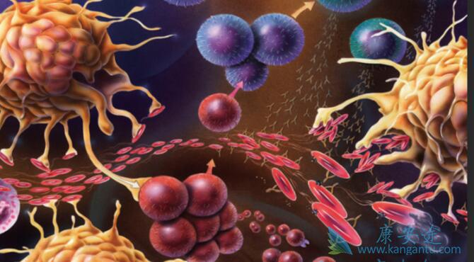 细胞因子风暴 细胞因子风暴