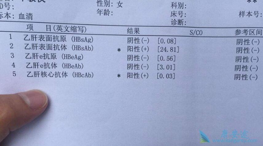 乙肝病毒 乙肝病毒
