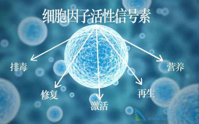 细胞因子风暴 细胞因子风暴