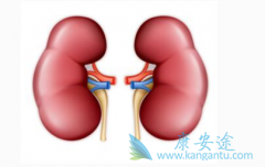 ����ת�Ƶİ�֢����Ҫ��ѭ������Щ����ԭ��