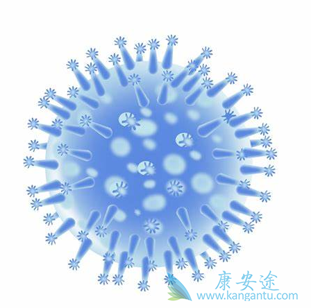 乙肝病毒;治疗乙肝 乙肝病毒;治疗乙肝