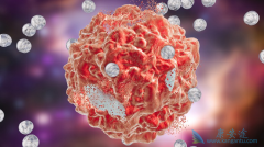 ʲô�������������ƣ���Щ�������ð������ƣ�