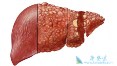 ���Ƹΰ���ѡ���ַ����ỹ�Ƕ༪����