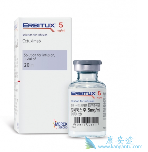 西妥昔单抗 西妥昔单抗