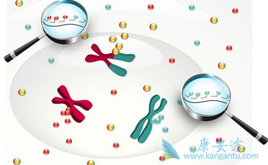 靶向药物;靶向治疗 靶向药物;靶向治疗