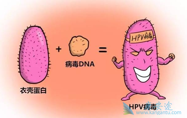 宫颈癌;宫颈癌的治疗 宫颈癌;宫颈癌的治疗