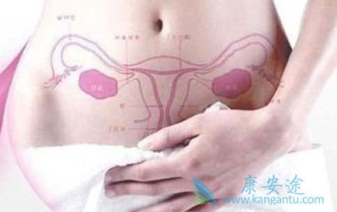 卵巢癌;卵巢癌治疗 卵巢癌;卵巢癌治疗