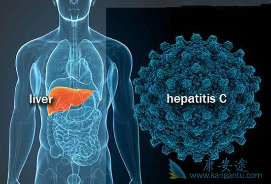 丙肝 丙肝