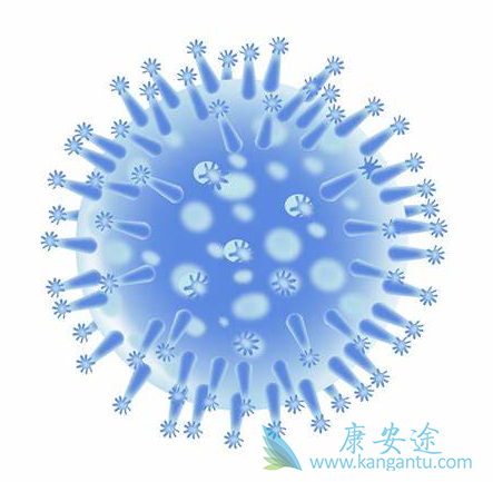 乙肝病毒;乙肝的传播途径 乙肝病毒;乙肝的传播途径