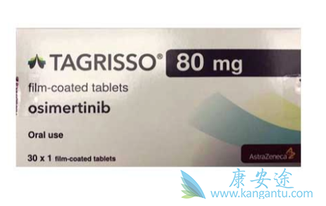 靶向药物;泰瑞沙耐药 靶向药物;泰瑞沙耐药