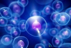 ϸ�����ӷ籩��ʲô��˼����Ƥ�ʼ��ػ�����ʲô�����ã�