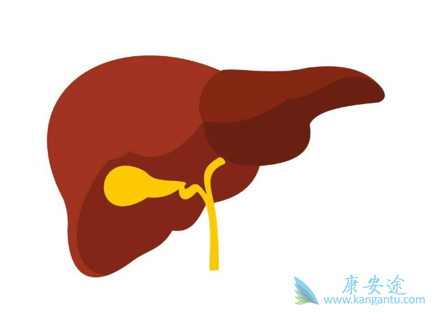 治疗肝癌;癌症 治疗肝癌;癌症