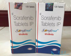 ӡ�ȵĶ༪���۸�Ҫ��ԭ��ҩ�༪�����˺ܶ�