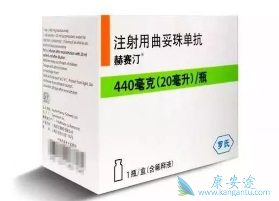 赫赛汀;曲妥珠单抗 赫赛汀;曲妥珠单抗