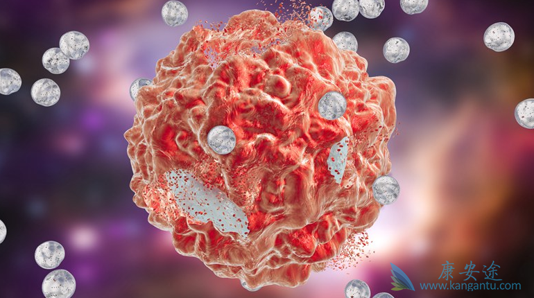 肿瘤;肿瘤治疗 肿瘤;肿瘤治疗