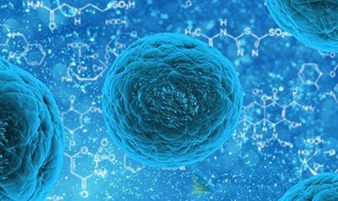 前列腺癌;前列腺癌的治疗 前列腺癌;前列腺癌的治疗