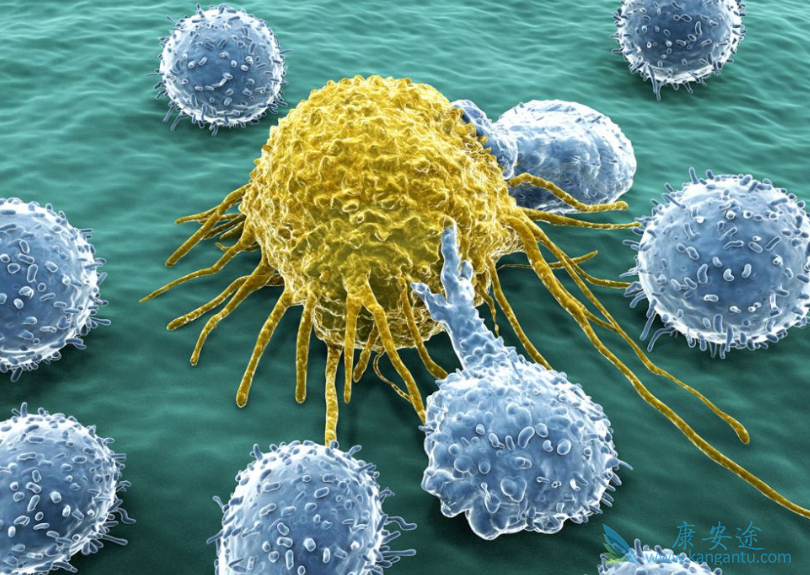 前列腺癌;阿比特龙 前列腺癌;阿比特龙