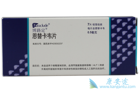 恩替卡韦;乙肝病毒 恩替卡韦;乙肝病毒