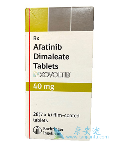 阿法替尼;肺鳞癌 阿法替尼;肺鳞癌