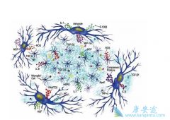 ϸ�����ӷ籩�ֳƸ�ϸ������Ѫ֢ ��Ƥ�ʼ��ؿ�������ARDS��֢