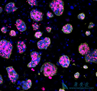 ֻ��������־���֪���Ķ����������̵�����ɸ������