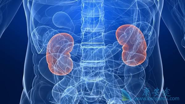 肾癌转移 肾癌转移