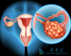 ��μ���ѳ����������ѳ���Ҫ����