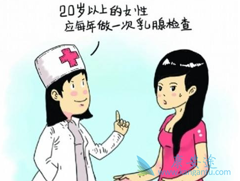 乳腺癌;宫颈癌 乳腺癌;宫颈癌