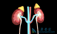 �༪������̹��һ������������Ч���ã�