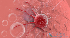 ����������ʲô�����������������ֱ�ӽ��а������ƣ�