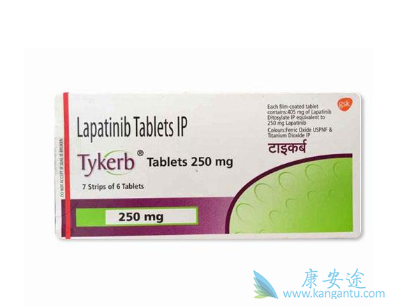 拉帕替尼 拉帕替尼