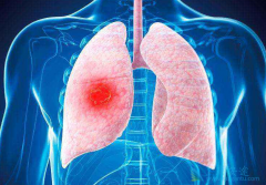 ʲô���·ΰ���Ϊ�����ʵ�һ�Ķ���������