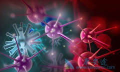 ���ٰ�����ת�Ƶ��ģ���������ת�ƵĲ�λ��Դ����Щԭ���