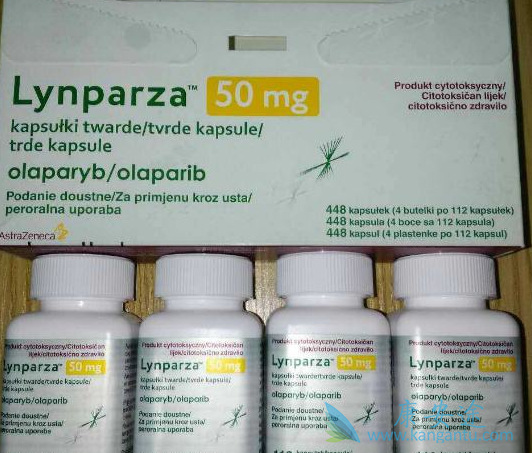 奥拉帕尼 奥拉帕尼