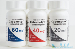 ���ڿ�������/cabozantinib��ҩƷ���